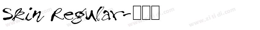 Skin Regular字体转换